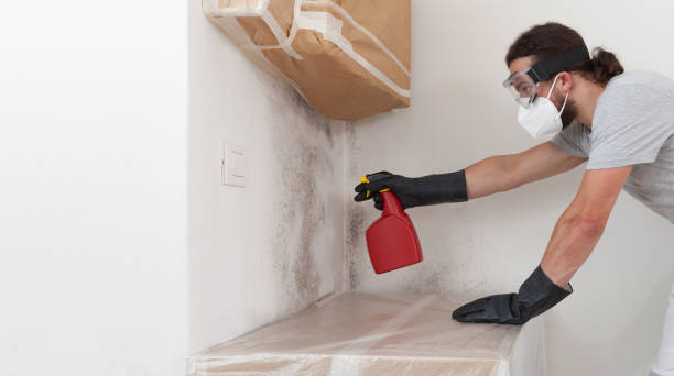 Professional Bathroom Mold Removal technician working in Delray Beach, FL